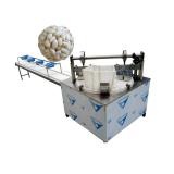 Horizontal biscuit cracker flow wrapping packaging machine manufacturers packing machine for chocolate cheese bread